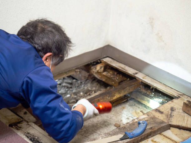Best Crawl Space Mold Removal  in Riverview, SC